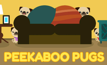Peek-A-Boo Pugs